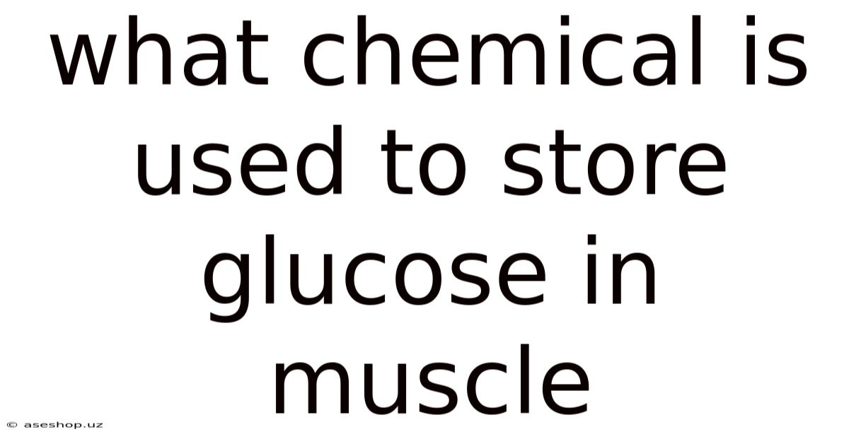 What Chemical Is Used To Store Glucose In Muscle