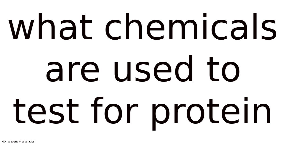 What Chemicals Are Used To Test For Protein