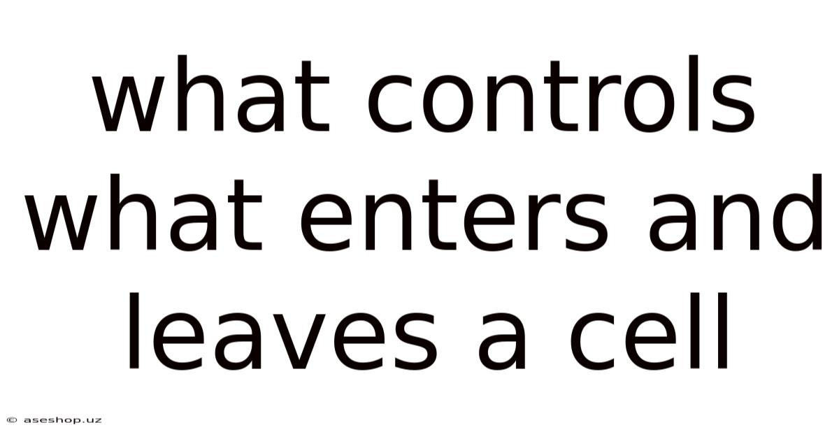 What Controls What Enters And Leaves A Cell