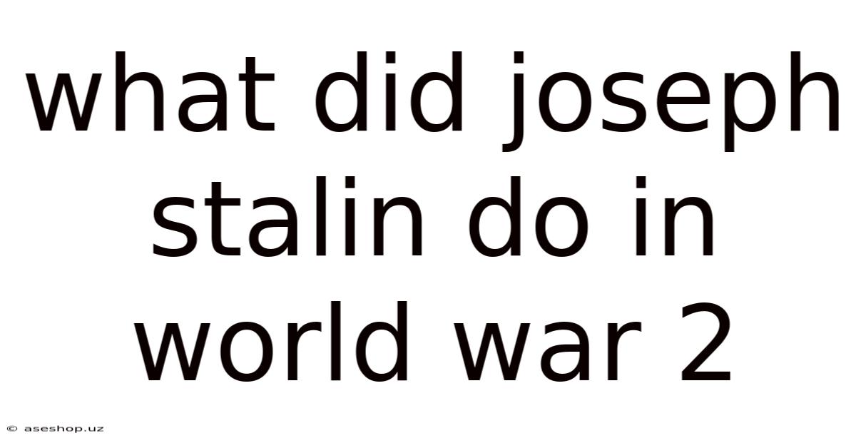 What Did Joseph Stalin Do In World War 2
