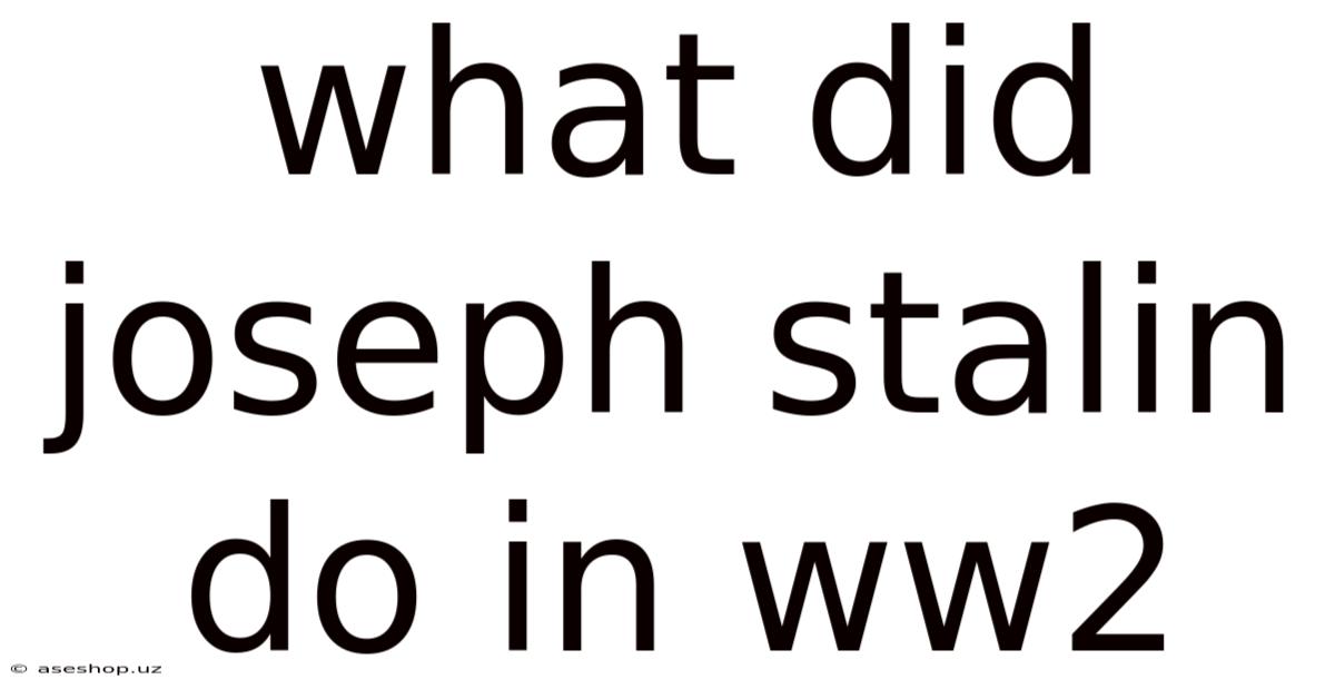 What Did Joseph Stalin Do In Ww2
