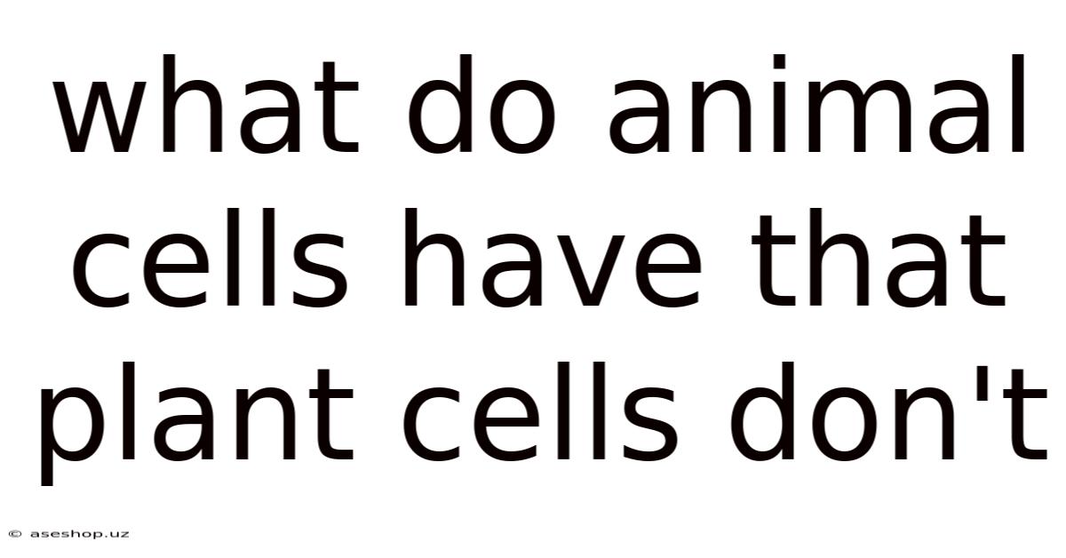 What Do Animal Cells Have That Plant Cells Don't