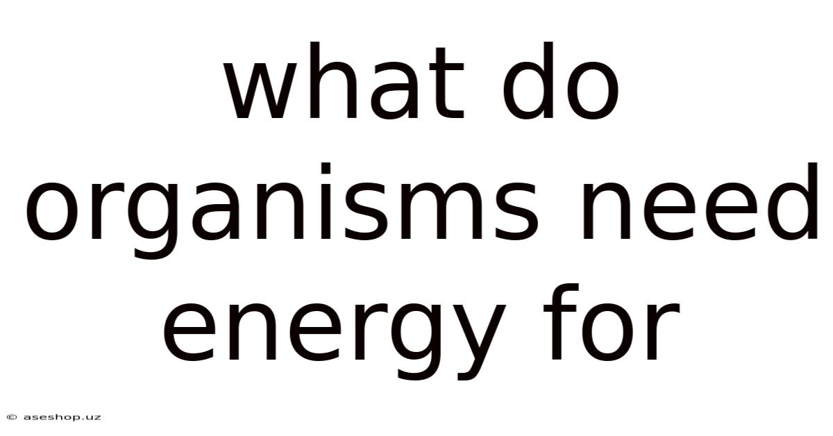 What Do Organisms Need Energy For