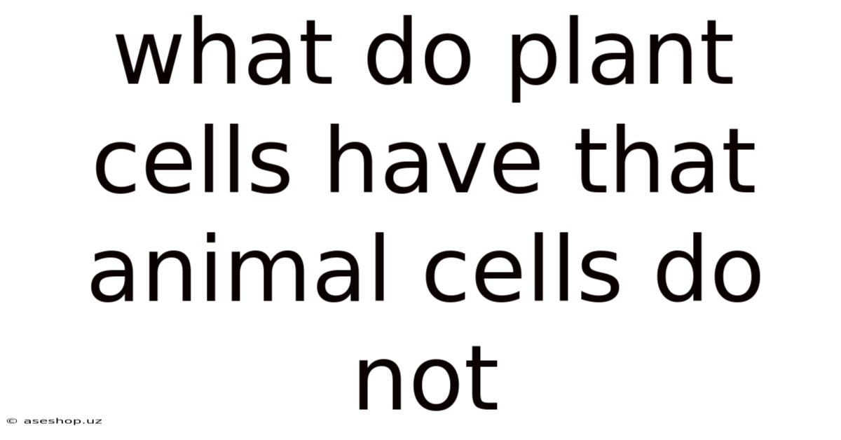 What Do Plant Cells Have That Animal Cells Do Not