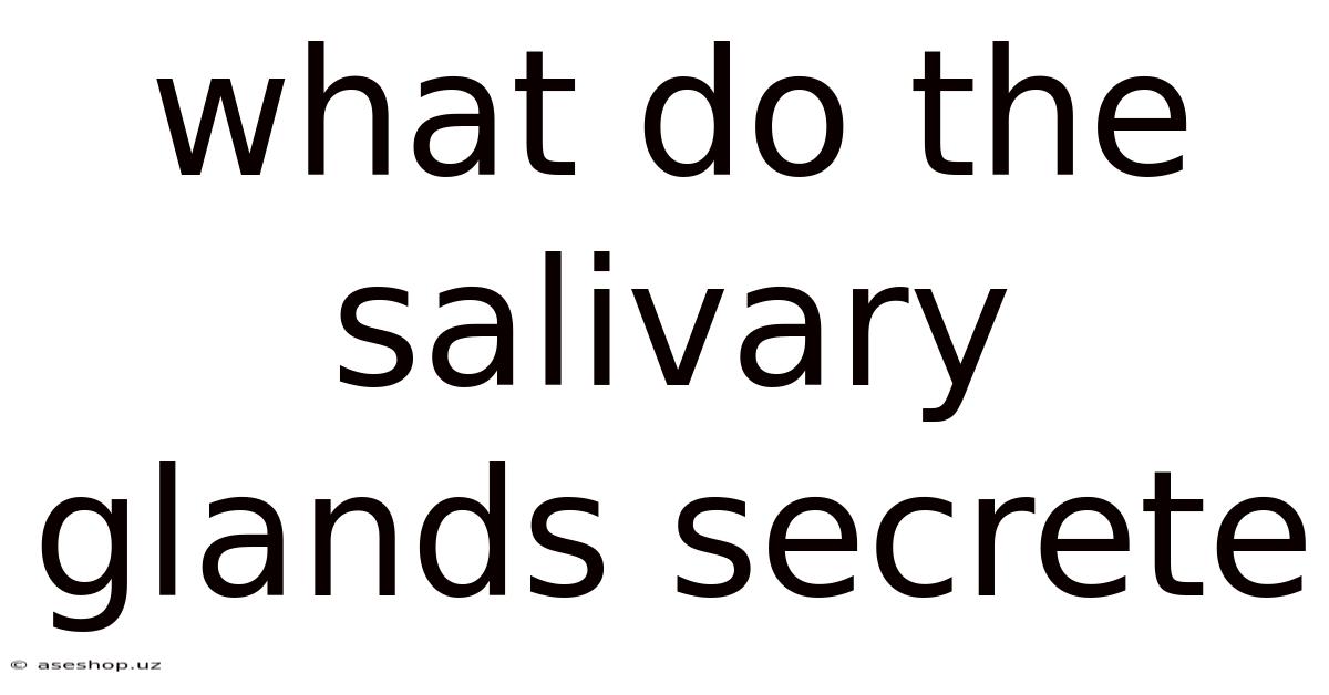 What Do The Salivary Glands Secrete