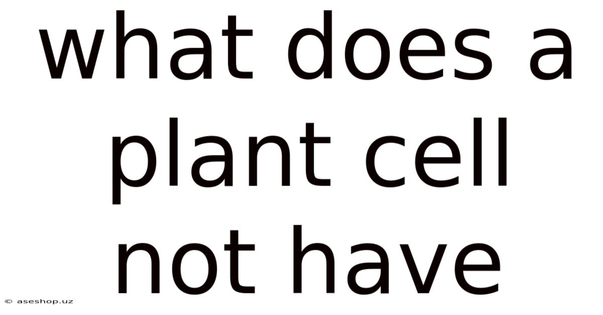 What Does A Plant Cell Not Have