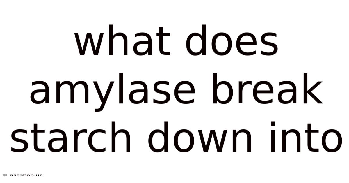 What Does Amylase Break Starch Down Into