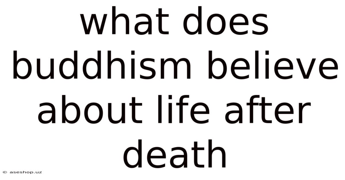 What Does Buddhism Believe About Life After Death