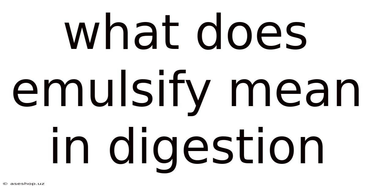 What Does Emulsify Mean In Digestion