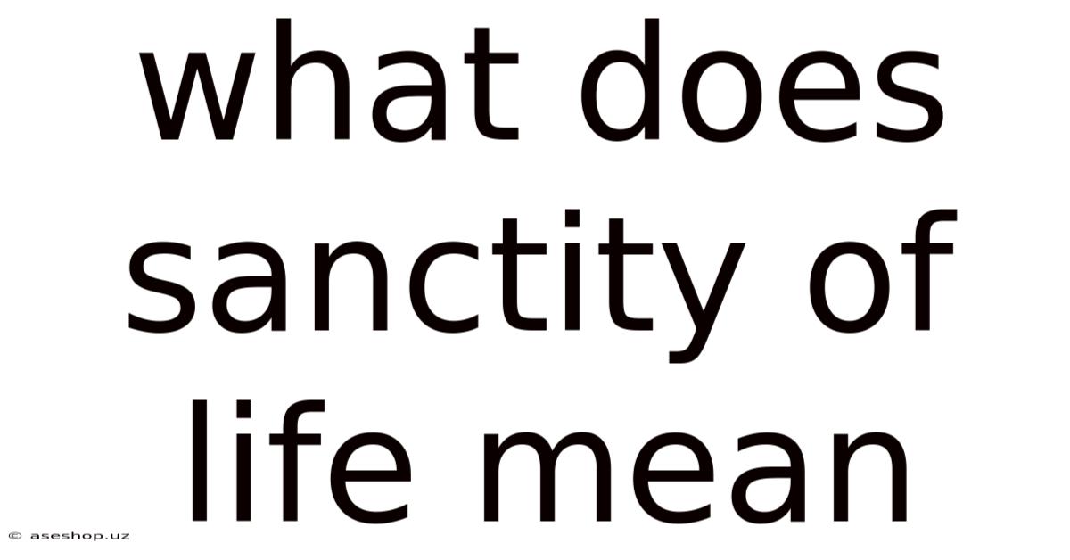 What Does Sanctity Of Life Mean