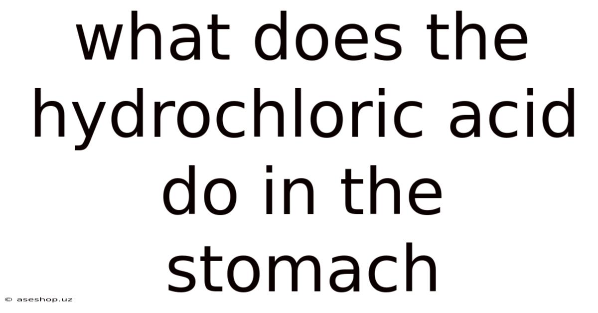 What Does The Hydrochloric Acid Do In The Stomach