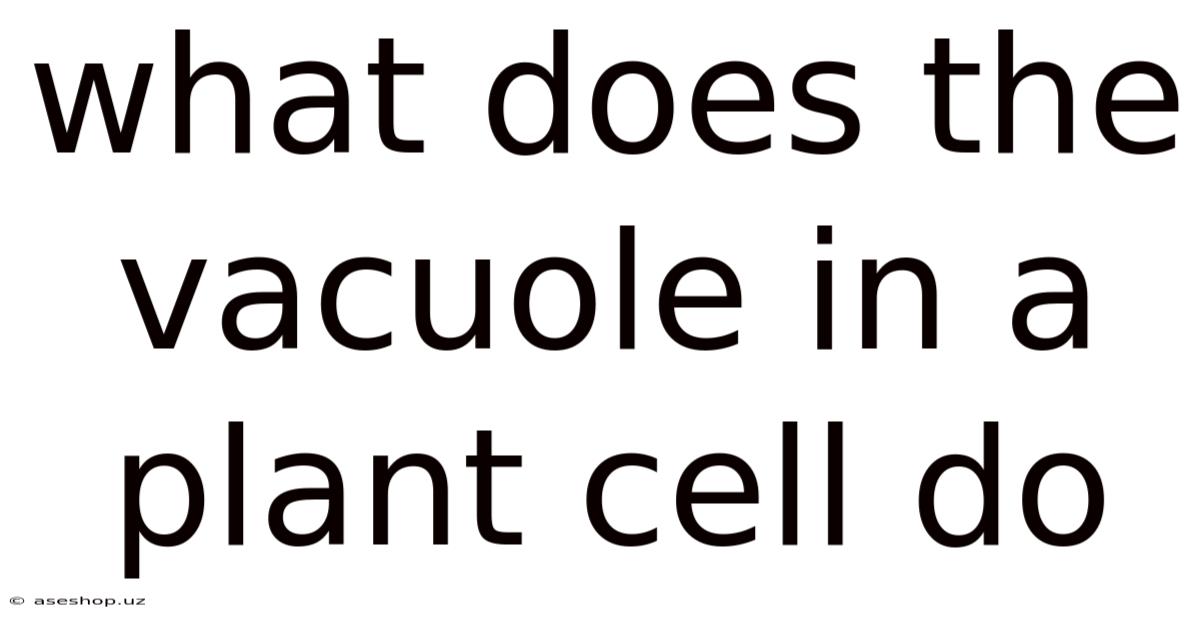 What Does The Vacuole In A Plant Cell Do