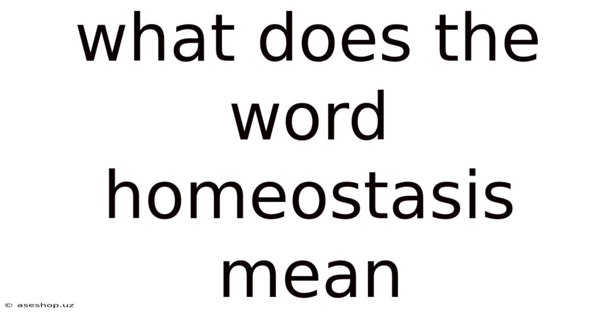 What Does The Word Homeostasis Mean