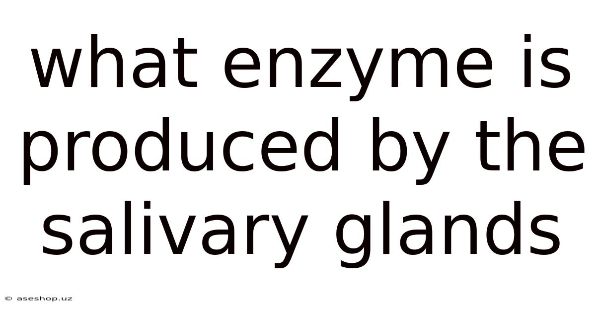 What Enzyme Is Produced By The Salivary Glands