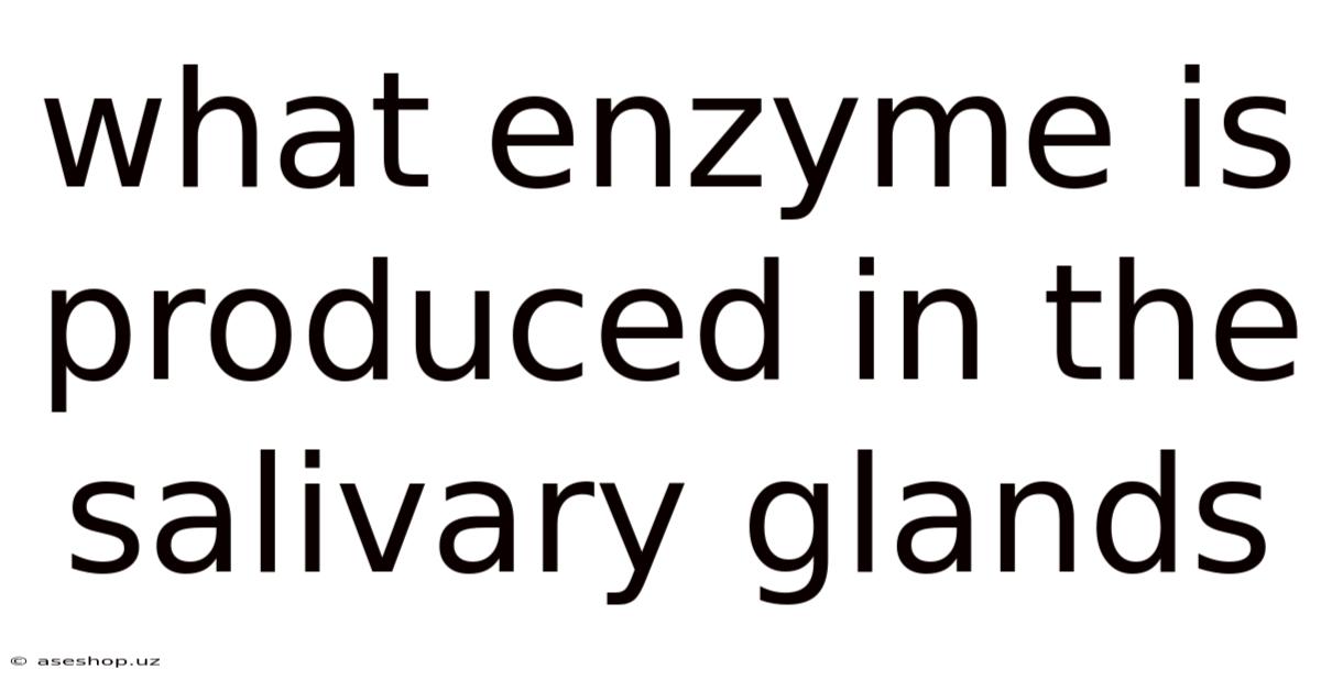 What Enzyme Is Produced In The Salivary Glands