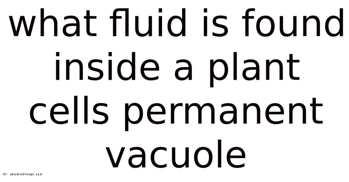 What Fluid Is Found Inside A Plant Cells Permanent Vacuole