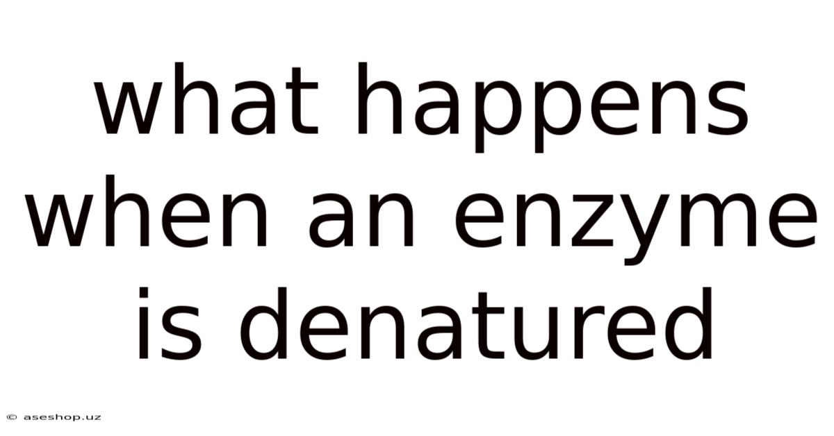 What Happens When An Enzyme Is Denatured
