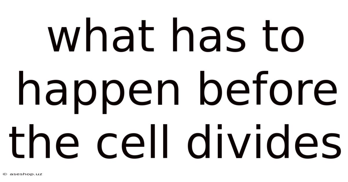 What Has To Happen Before The Cell Divides