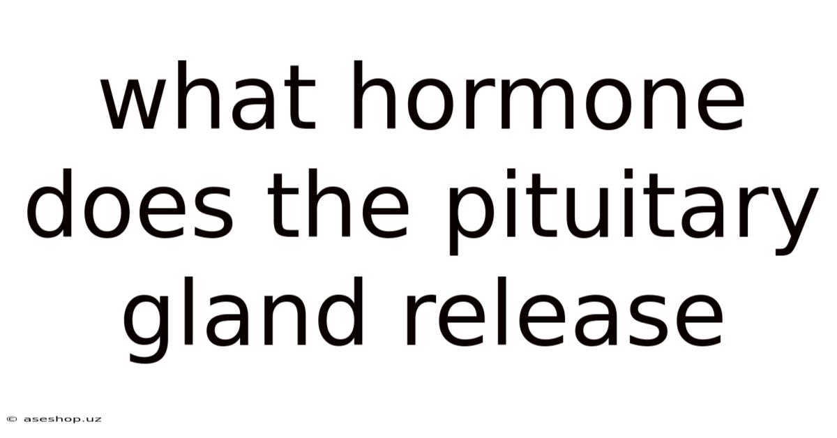What Hormone Does The Pituitary Gland Release