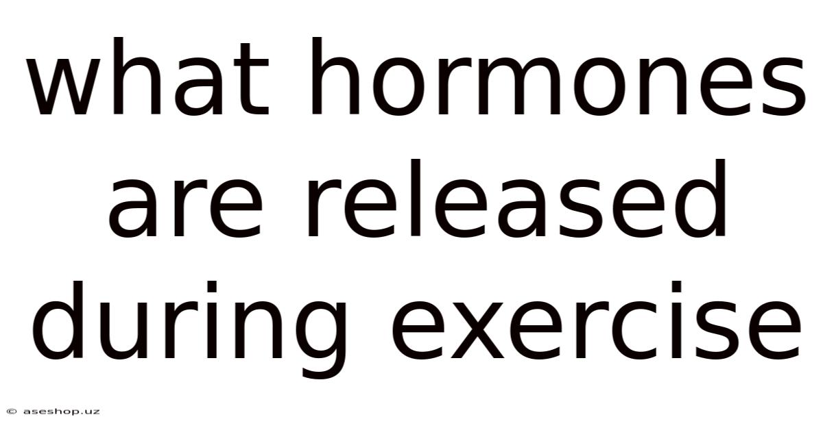 What Hormones Are Released During Exercise