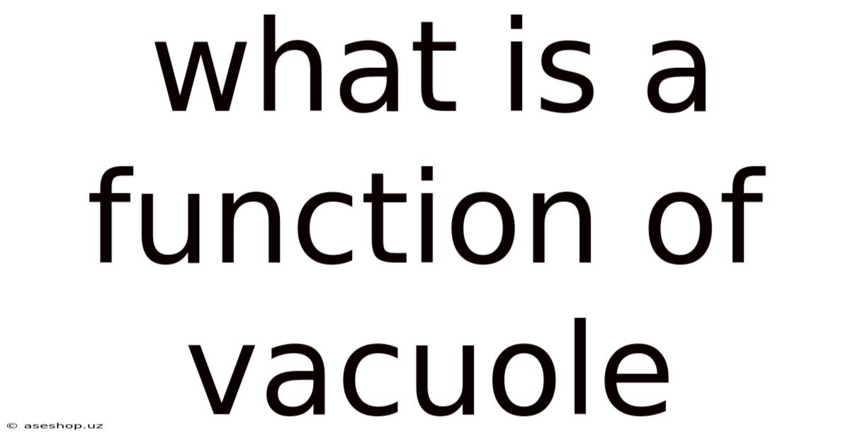 What Is A Function Of Vacuole