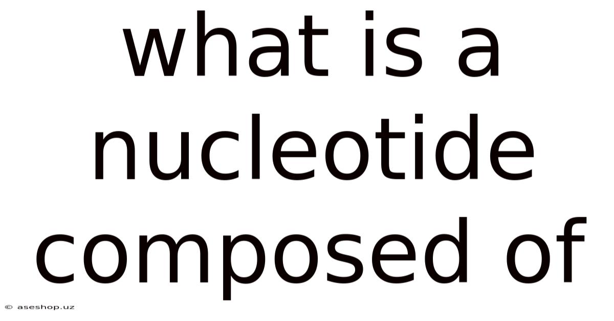 What Is A Nucleotide Composed Of