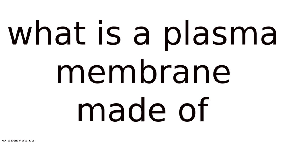 What Is A Plasma Membrane Made Of