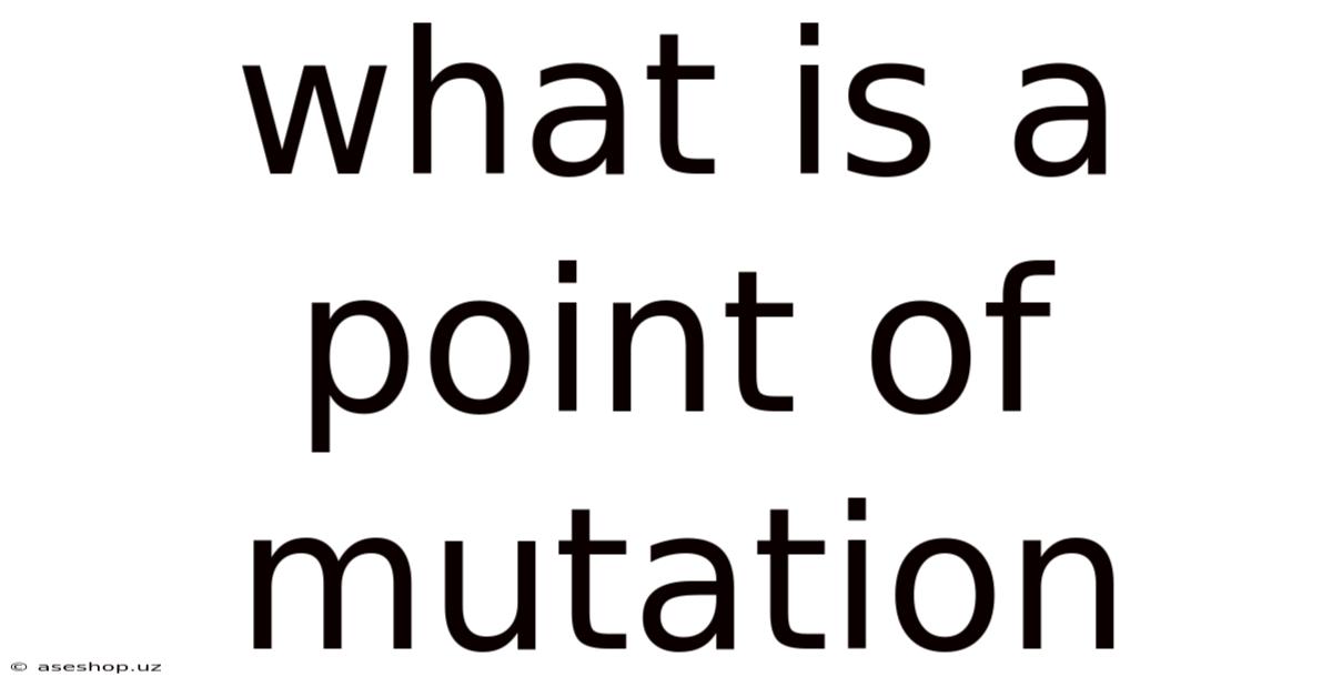What Is A Point Of Mutation