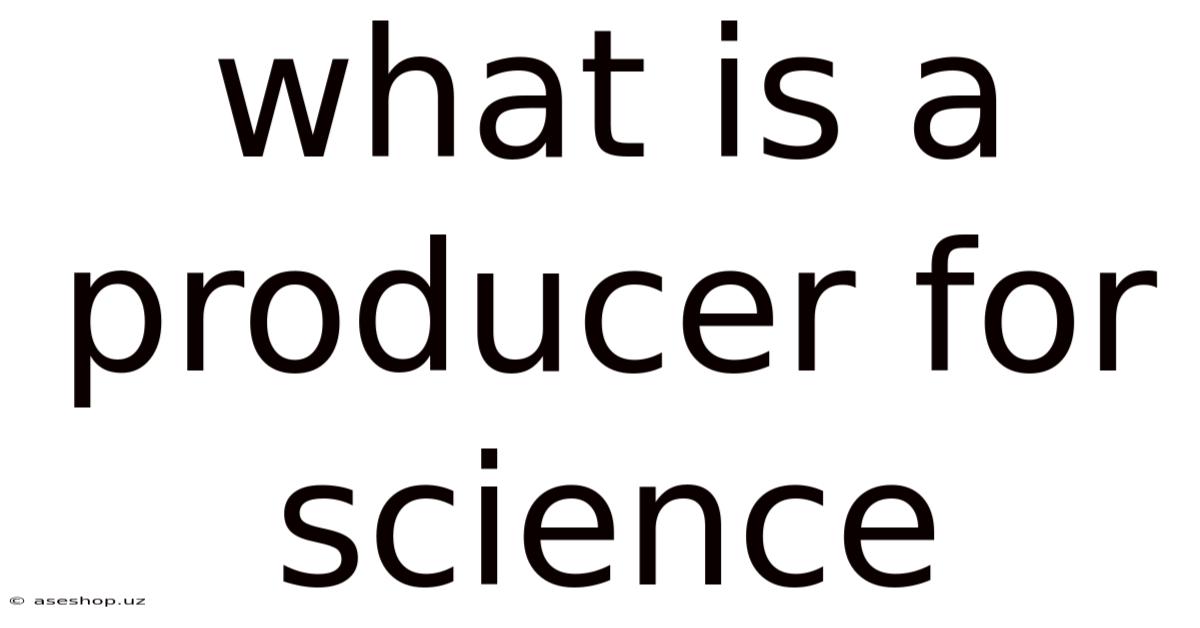 What Is A Producer For Science