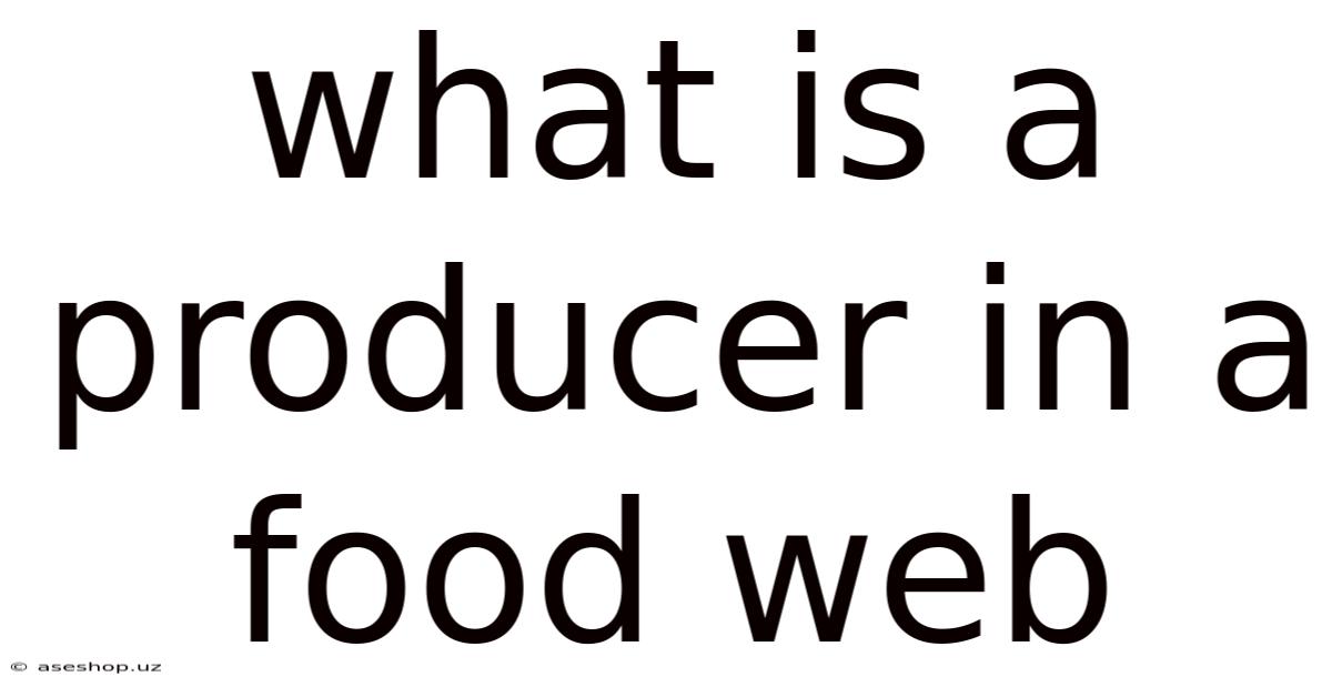 What Is A Producer In A Food Web