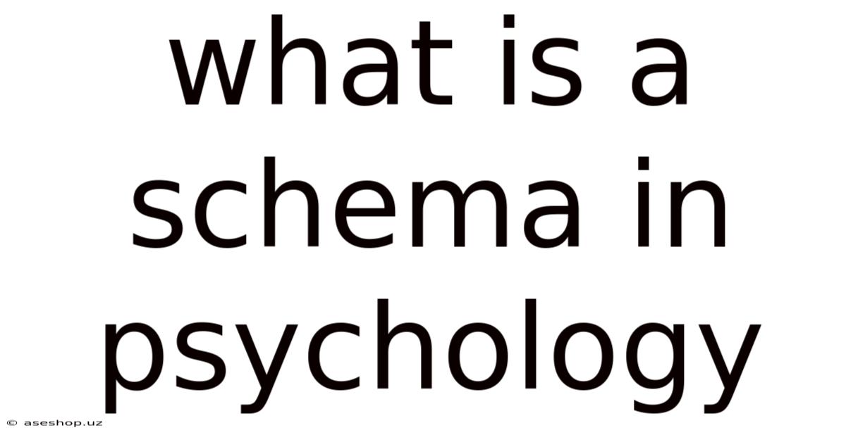 What Is A Schema In Psychology