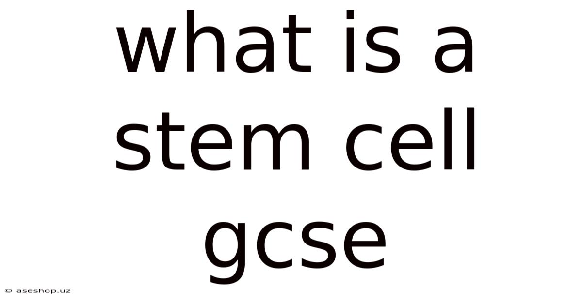 What Is A Stem Cell Gcse