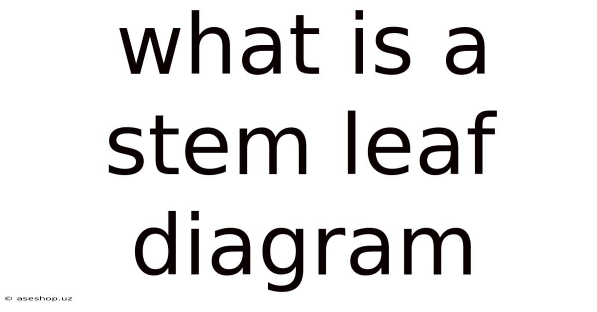 What Is A Stem Leaf Diagram