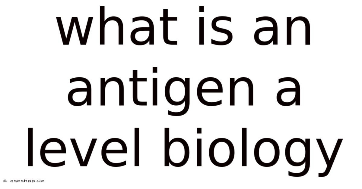 What Is An Antigen A Level Biology