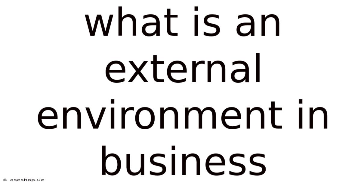 What Is An External Environment In Business