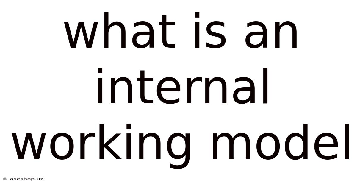 What Is An Internal Working Model