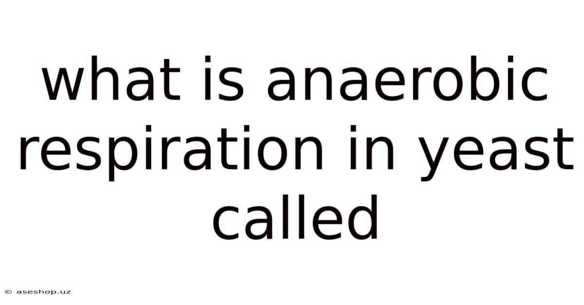 What Is Anaerobic Respiration In Yeast Called