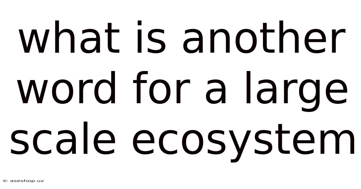 What Is Another Word For A Large Scale Ecosystem