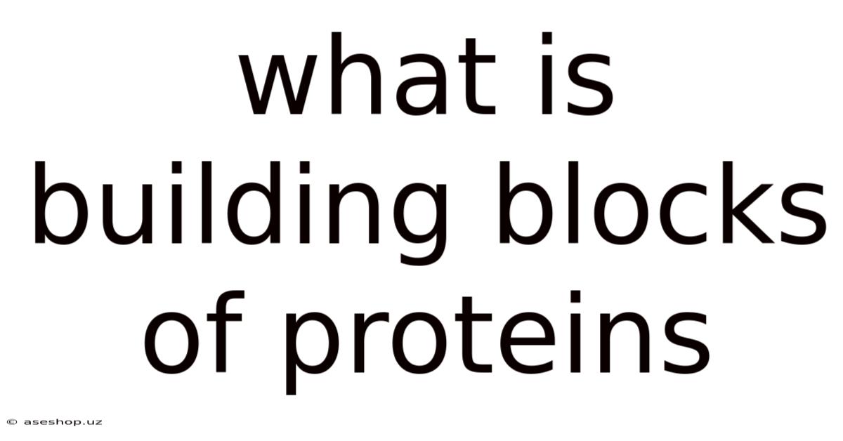 What Is Building Blocks Of Proteins