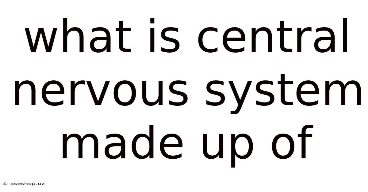 What Is Central Nervous System Made Up Of