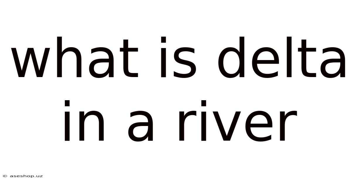 What Is Delta In A River
