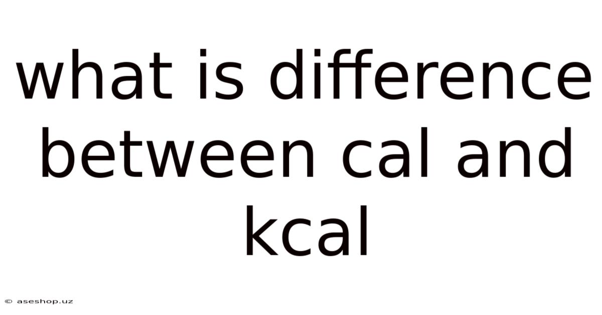 What Is Difference Between Cal And Kcal
