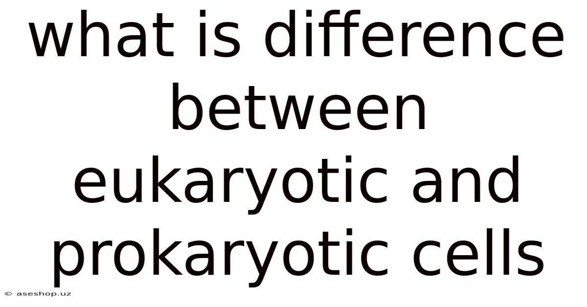 What Is Difference Between Eukaryotic And Prokaryotic Cells