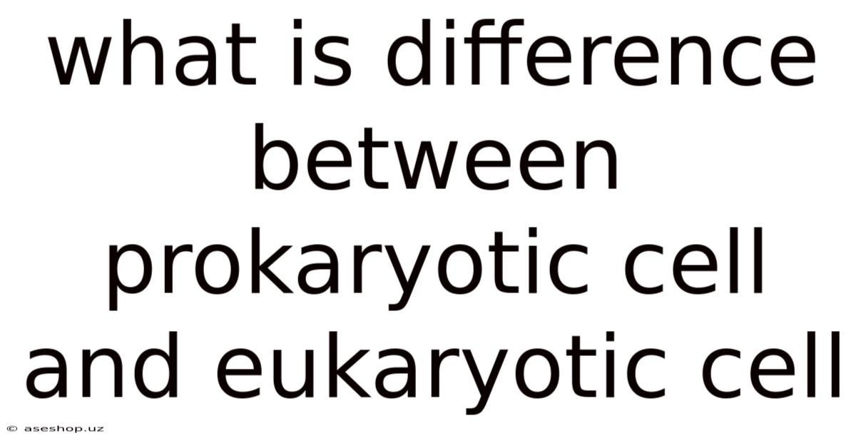 What Is Difference Between Prokaryotic Cell And Eukaryotic Cell