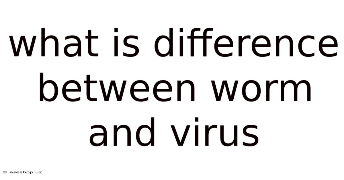 What Is Difference Between Worm And Virus