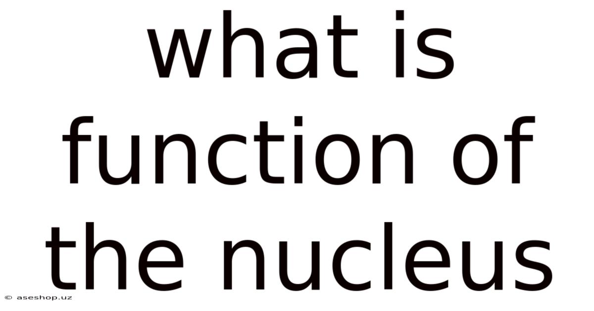 What Is Function Of The Nucleus