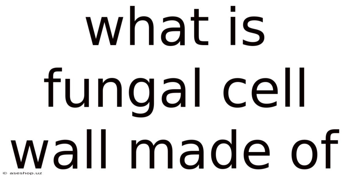 What Is Fungal Cell Wall Made Of