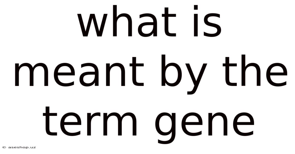 What Is Meant By The Term Gene