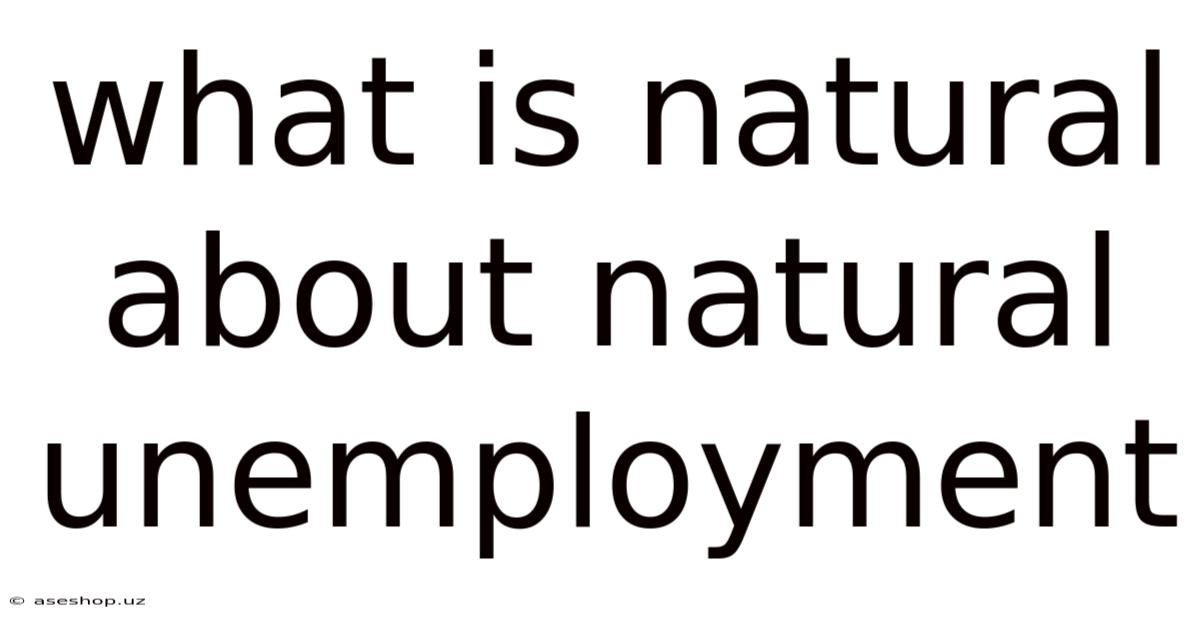What Is Natural About Natural Unemployment