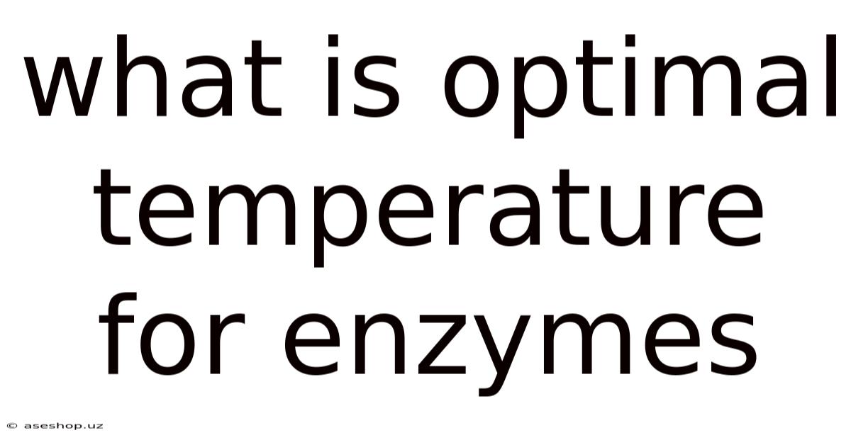 What Is Optimal Temperature For Enzymes